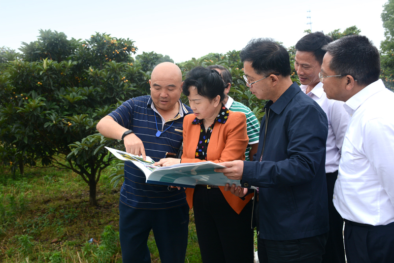 1525773272854026688.jpg DSC_0717.jpg