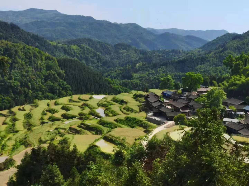 1652060667762065259.jpg 微信图片_20220509094353.jpg