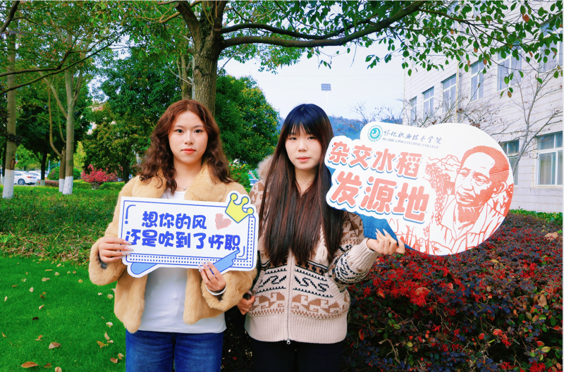 1773629729308042640.png 1773628291031.png